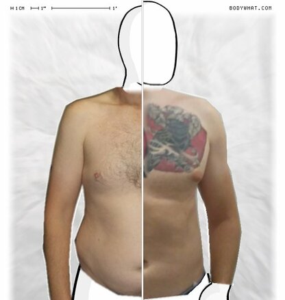 Torso Comparison