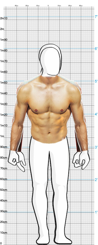 Full Size Comparison