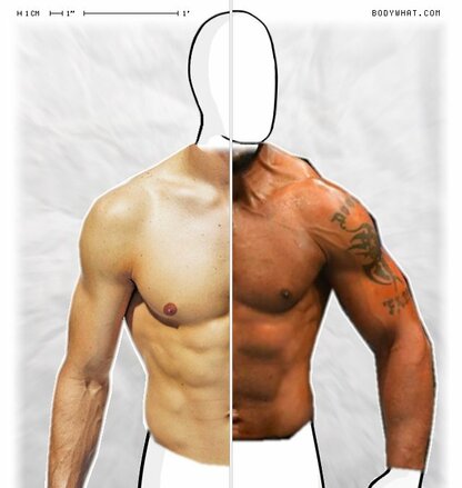 Torso Comparison