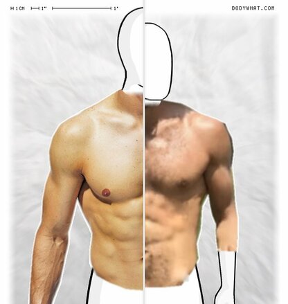 Torso Comparison
