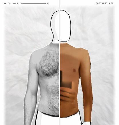 Torso Comparison