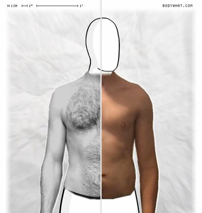 Torso Comparison