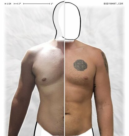 Torso Comparison