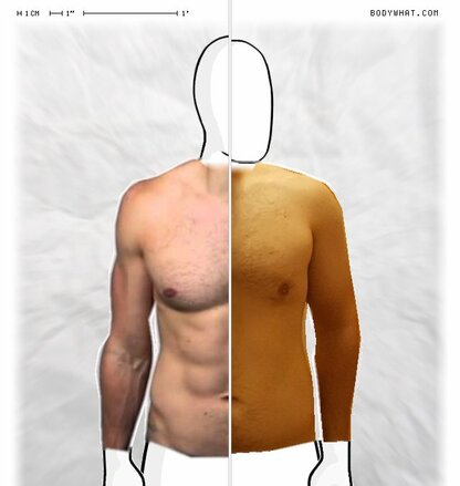 Torso Comparison