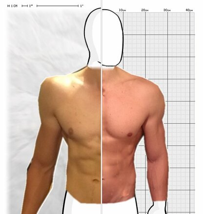 Torso Comparison