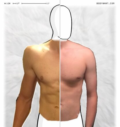 Torso Comparison