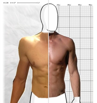 Torso Comparison