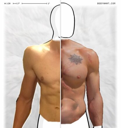 Torso Comparison