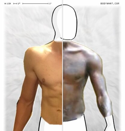 Torso Comparison