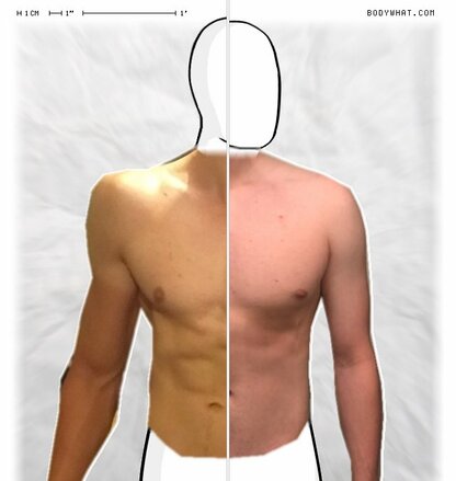 Torso Comparison