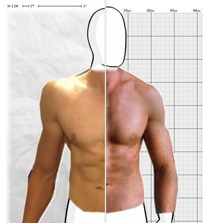 Torso Comparison