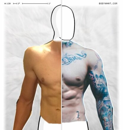 Torso Comparison