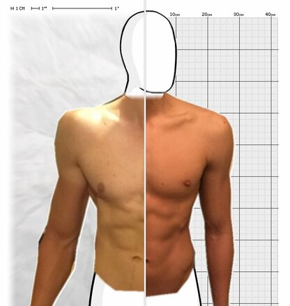 Torso Comparison