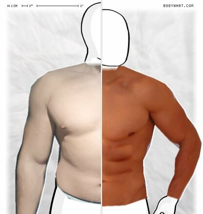 Torso Comparison