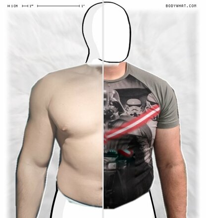 Torso Comparison