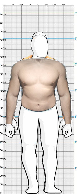 Full Size Comparison