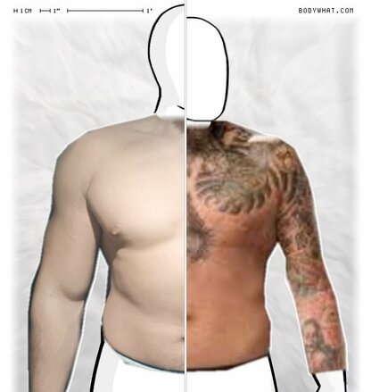 Torso Comparison