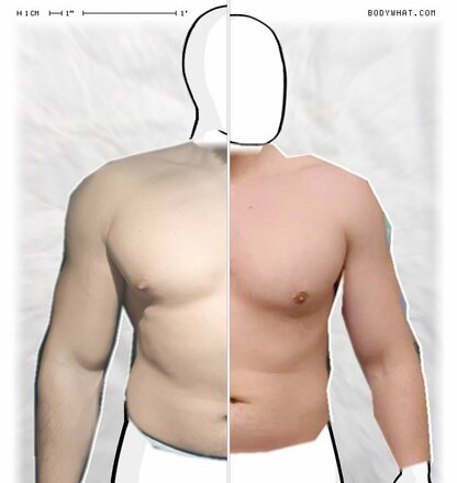 Torso Comparison