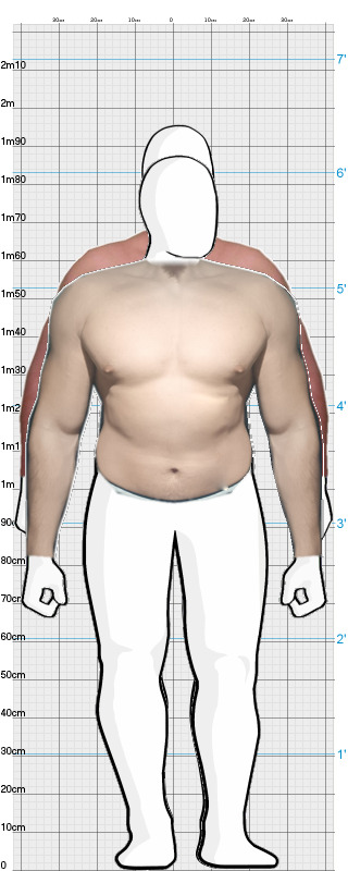 Full Size Comparison