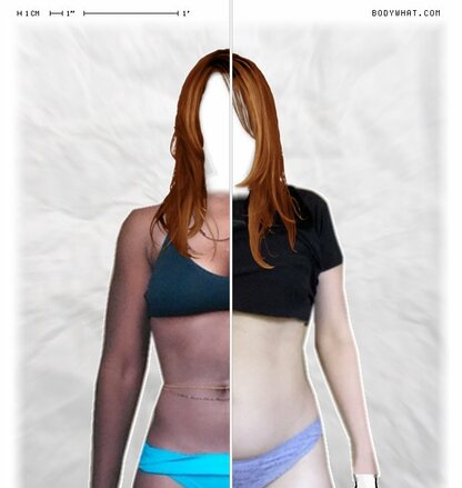 Torso Comparison
