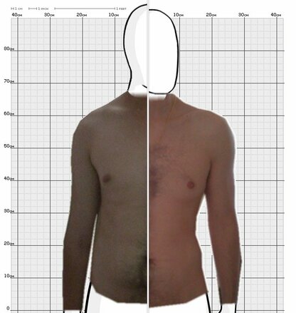 Torso Comparison