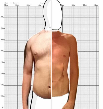 Torso Comparison