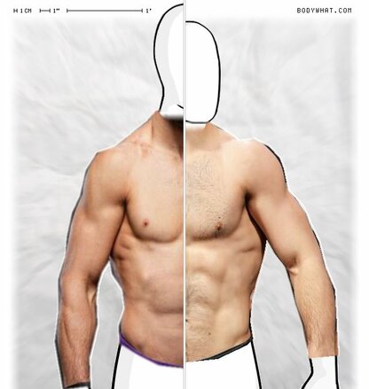 Torso Comparison
