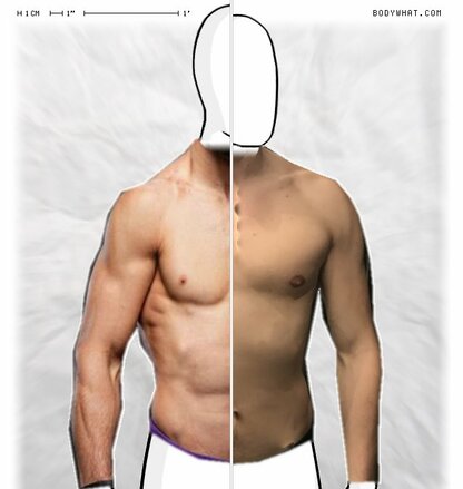 Torso Comparison