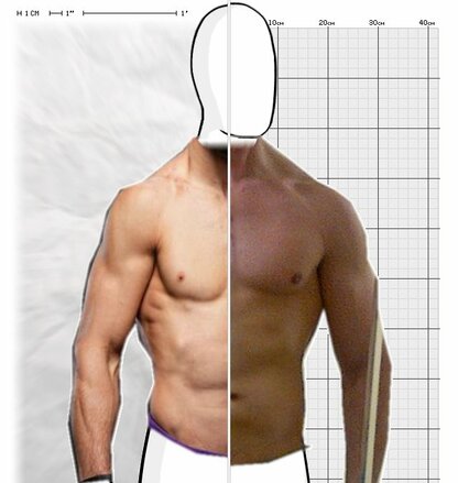 Torso Comparison