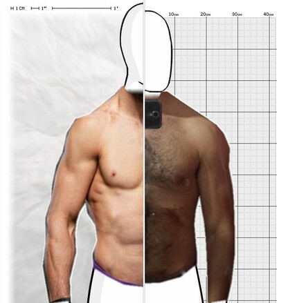 Torso Comparison