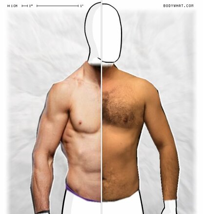 Torso Comparison