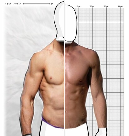Torso Comparison