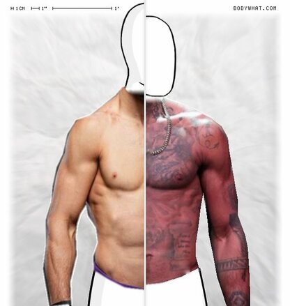 Torso Comparison