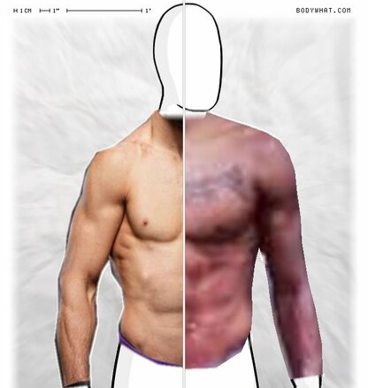 Torso Comparison