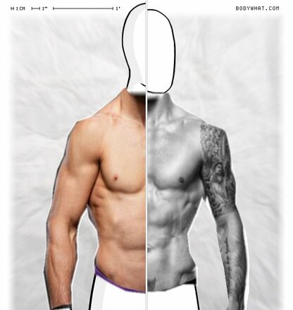 Torso Comparison