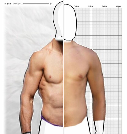 Torso Comparison