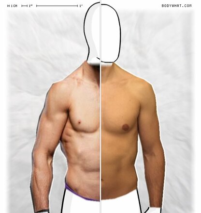 Torso Comparison