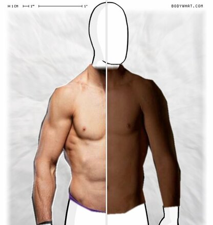 Torso Comparison