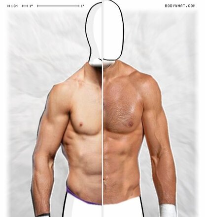 Torso Comparison