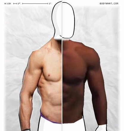 Torso Comparison