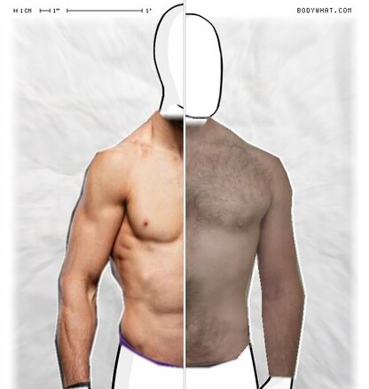 Torso Comparison