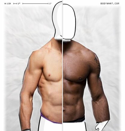 Torso Comparison