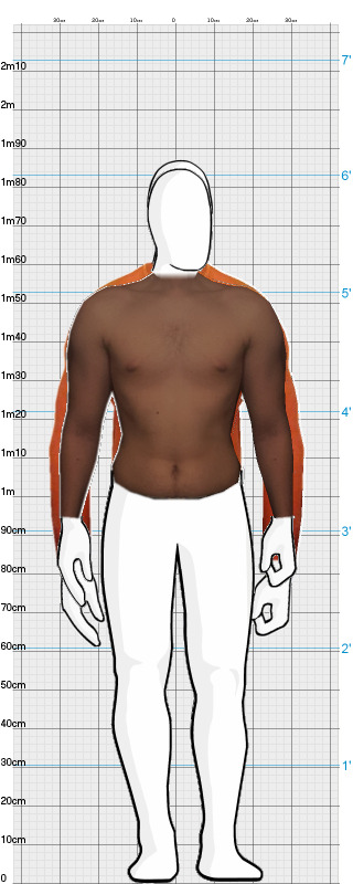 Full Size Comparison