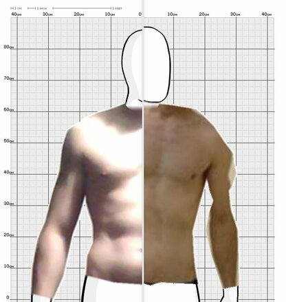 Torso Comparison