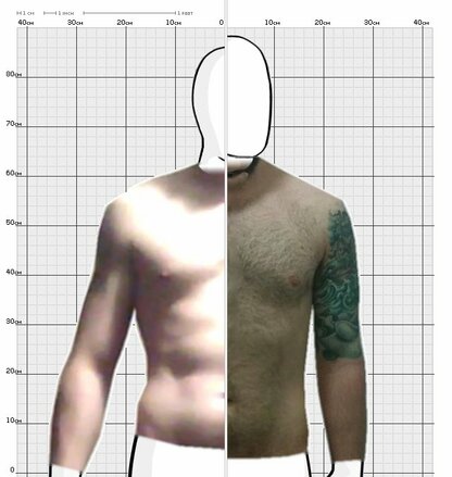 Torso Comparison