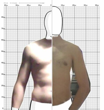 Torso Comparison