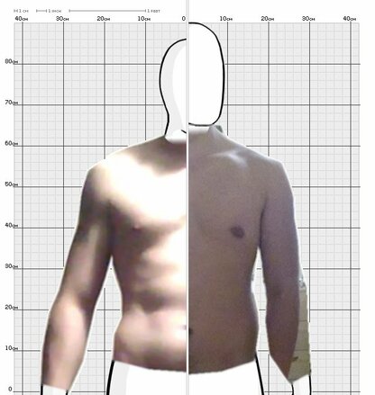 Torso Comparison