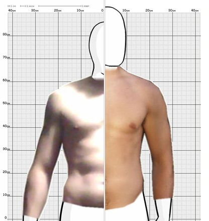 Torso Comparison