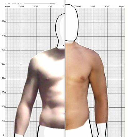 Torso Comparison