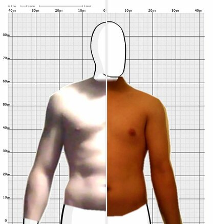 Torso Comparison